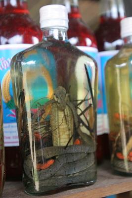 Snake Rice Wine