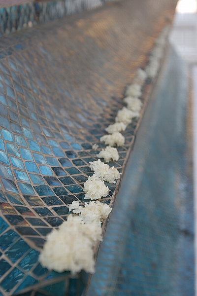 Rice Offering at Wat Xieng Thong (Close Up)