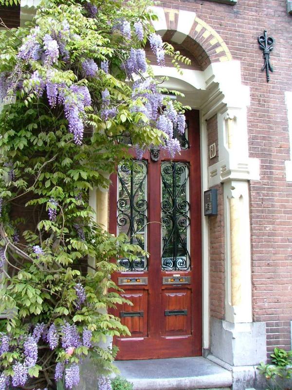Wysteria Hysteria