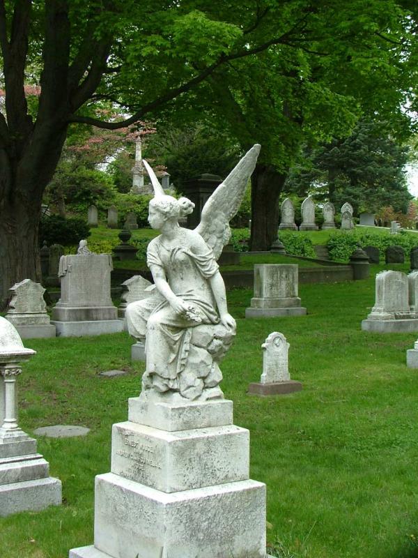 Angel in Mount Auburn