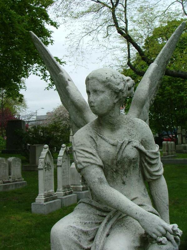 Angel in Mount Auburn Close