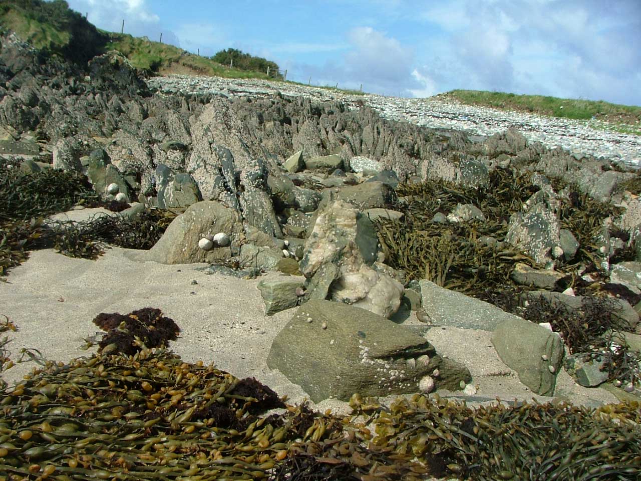 Low Tide