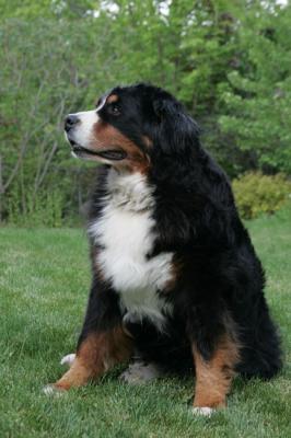 JJ2M4564.JPG