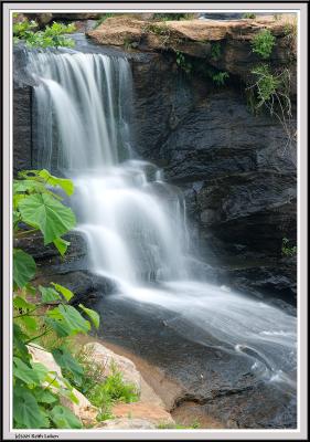 Reedy Falls - IMG_2749 - Cropped.jpg