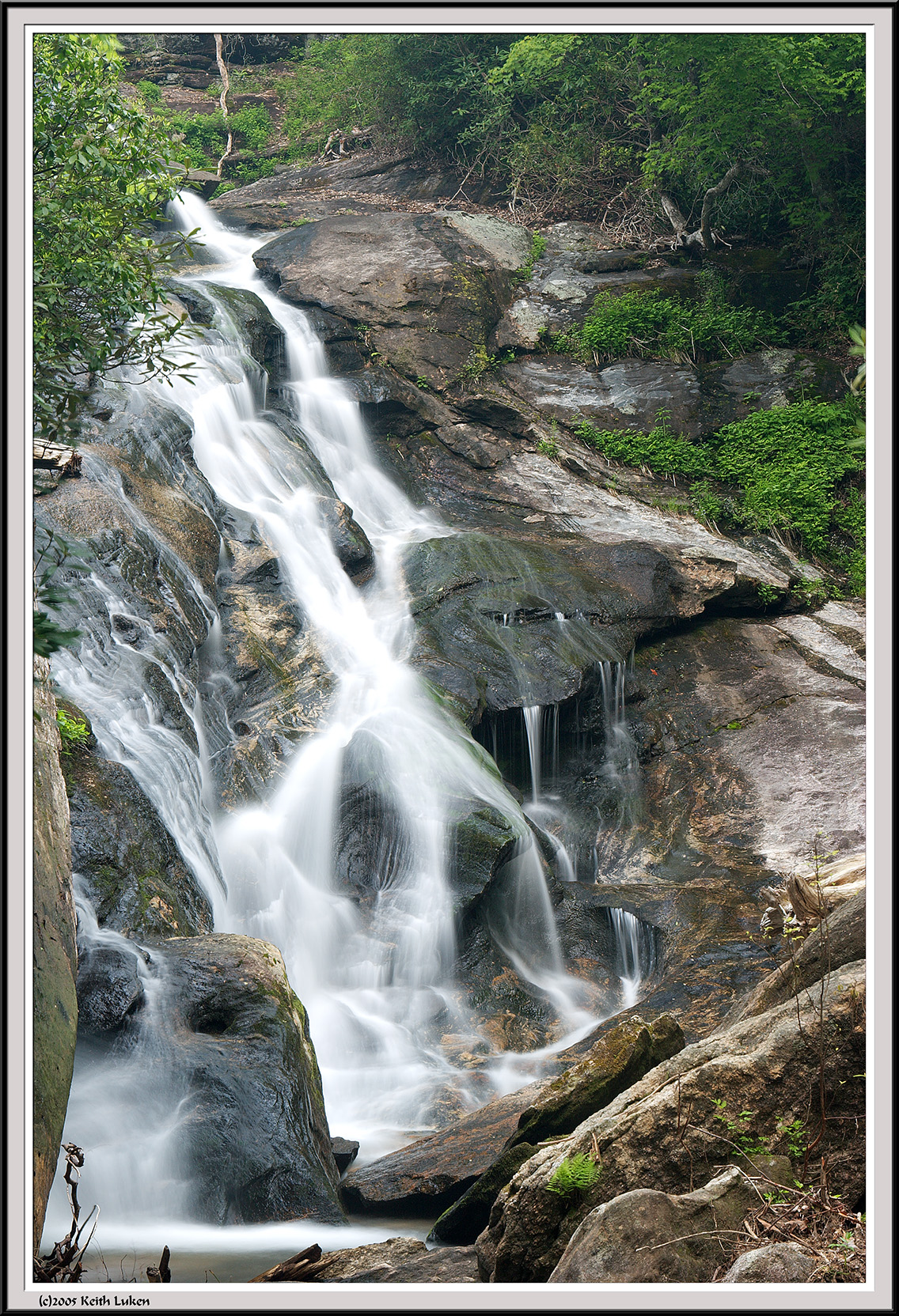 Holcomb Creek Falls - IMG_2377.jpg