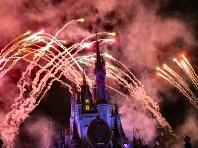 Disney Fireworks2.jpg