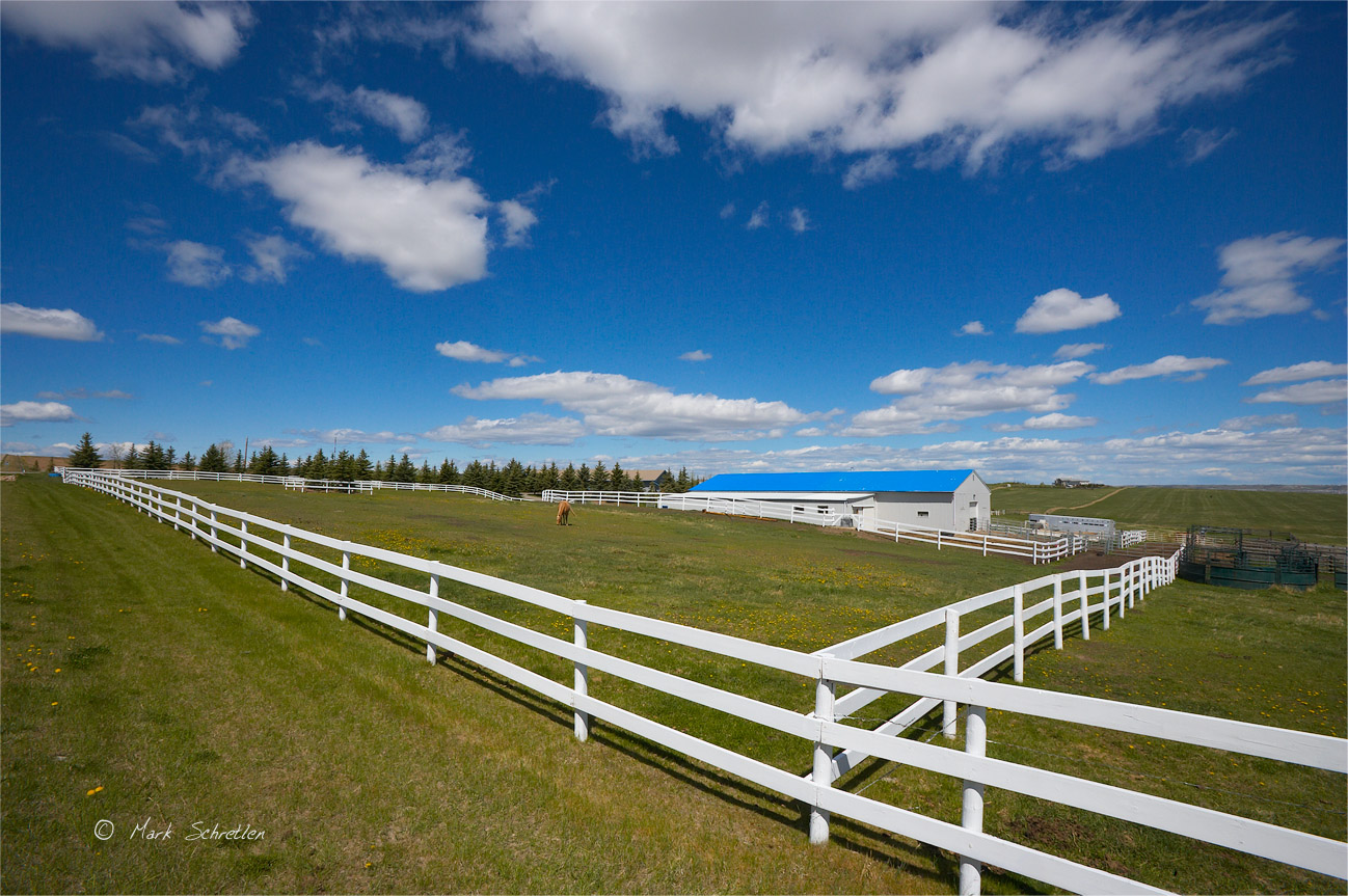 Springbank