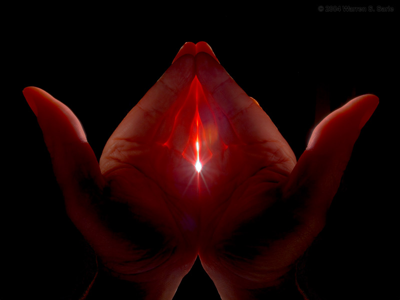 Backlight by Warren Sarle