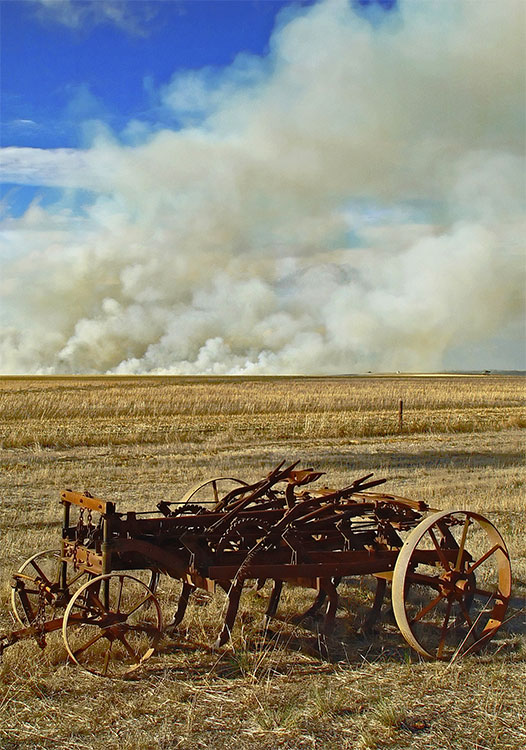 Fields Ablaze by Paul Rohal
