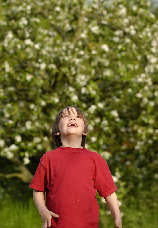 The Joy of Spring Once Again by Charles Gervais