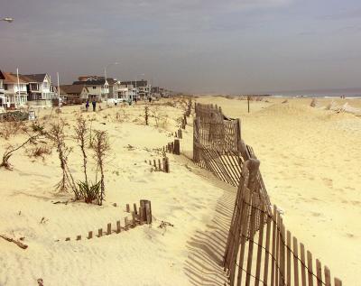 beachfenceW.jpg