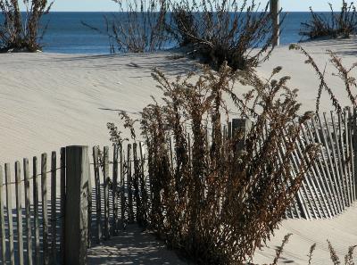 beachW.jpg