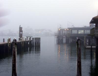FOG2W.jpg