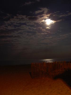 moonwaterfenceW.jpg