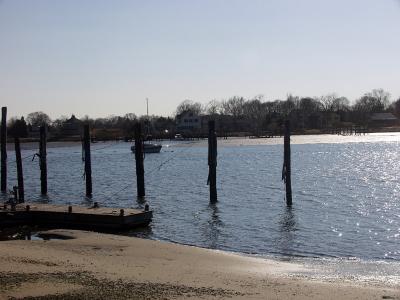 pilings2W.jpg