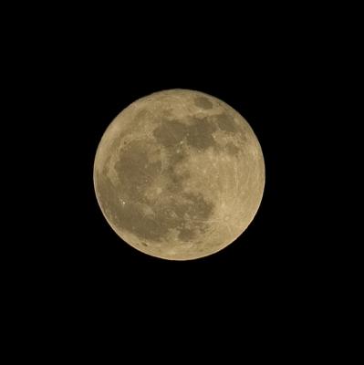 Full Moon from Lake Jackson.jpg