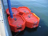 Queen of Oak Bay Marin Ark saving equipment upgrade