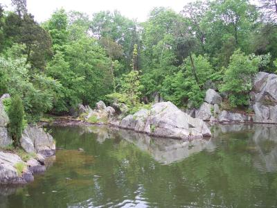 Pond beside Widewater