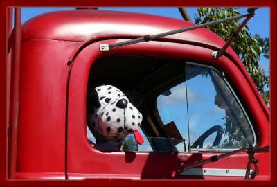 u26/laine82/medium/43323679.TheGuardDog.jpg