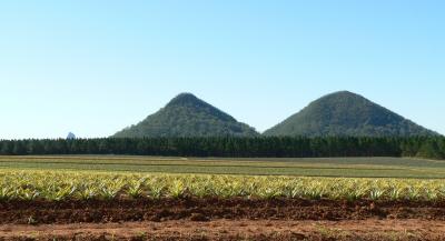 Tunbudula-The Twins 294  338 metres beyond the pineapple farm.JPG