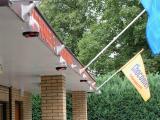Wasp traps