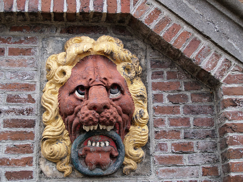 Ugly Lion