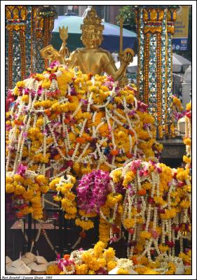 Erawan flower