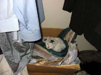 Cole Sleeping in Bedroom Closet