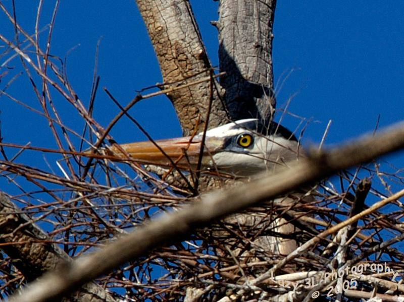 You cant see me....