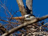 You cant see me....