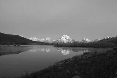 IMG_0411fix800bw.jpg