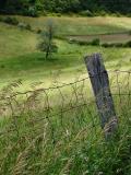 fence post and cloud shadows