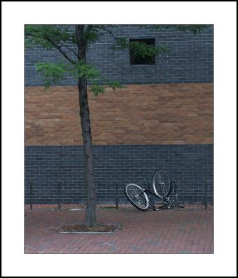 PICT7196w.jpg