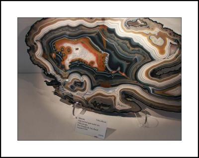 PICT7201w.jpg