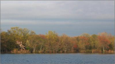 IMG_1141w.jpg