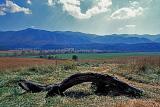 Cades Cove
