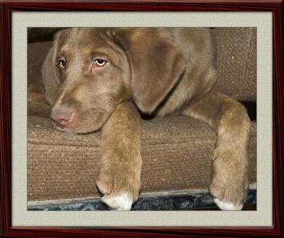 Slick - 3 months