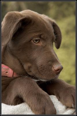 Tia - 3 months