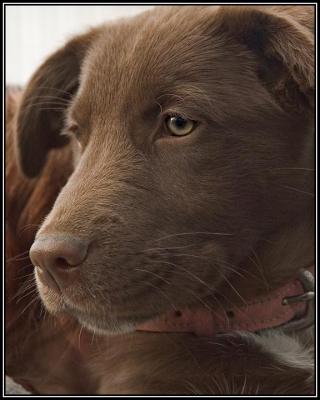 Tia - 3 months