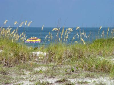 Beach Morning