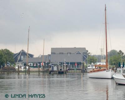 Tilghman Misty Harbor