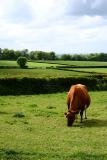 22nd May 2005 - duty and pleasure