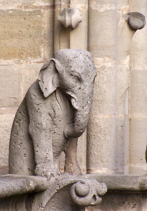 Elephant Gargoyle at Notre Dame