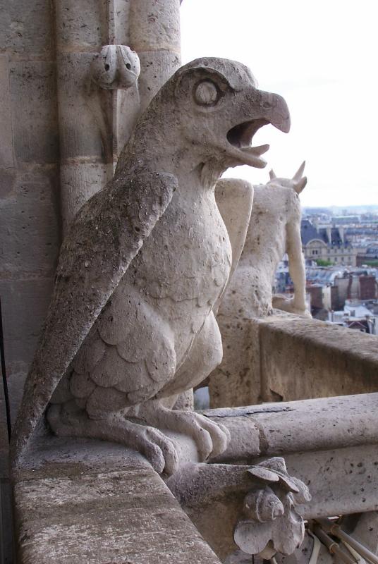 Bird Gargoyle Watching over Paris from Notre Dame
