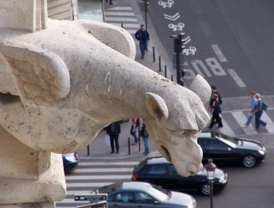 Notre Dame Gargoyle