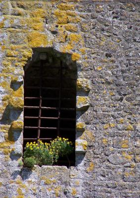 Window - Mont St. Michel