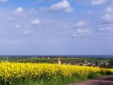 Normandy Coast