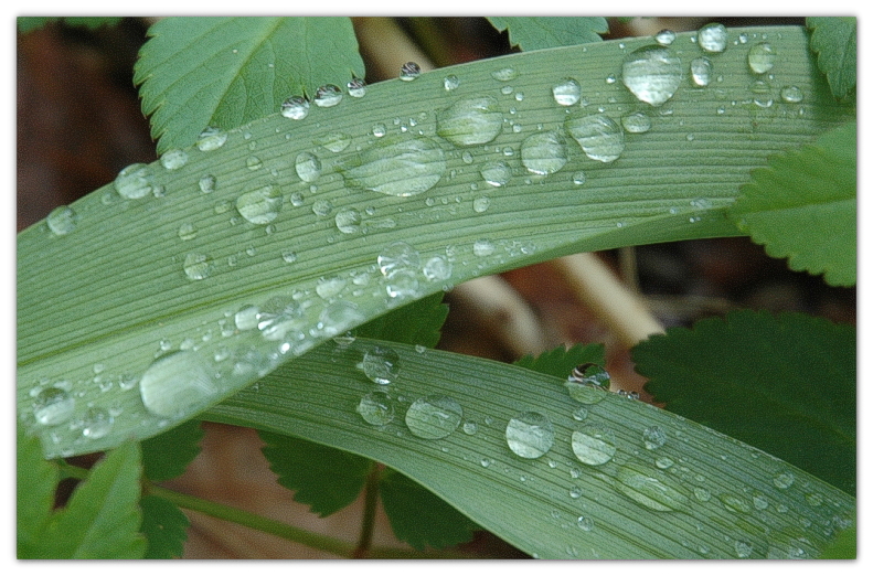 More droplets ... more rain