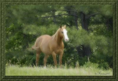 Soft Painting.jpg