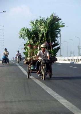 PICT0000-1024 (43).JPG